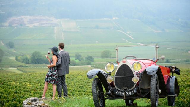 Bugatti In The Vines Contemplation