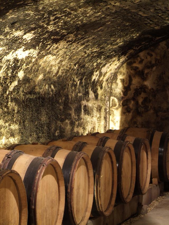 Bodegas de los Hospices de Beaune