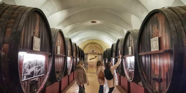 Visiteurs dans les caves Patriarche