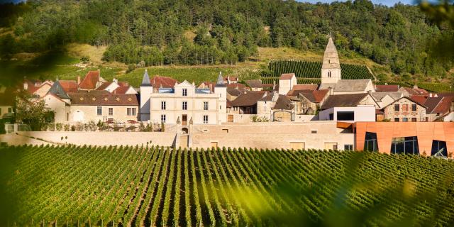 Château de Saint-Aubin visite du vignoble et des caves