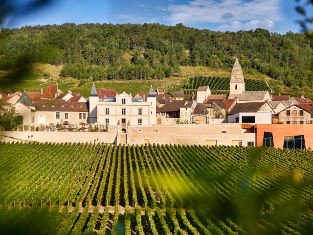 Château de Saint-Aubin visite du vignoble et des caves