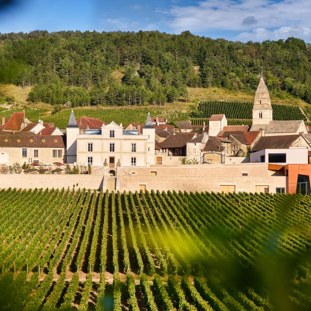 Château de Saint-Aubin visite du vignoble et des caves