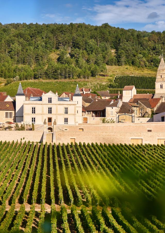 Château de Saint-Aubin visite du vignoble et des caves