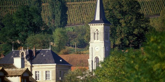 Eglise, vignoble dans le village d'Aloxe-Corton