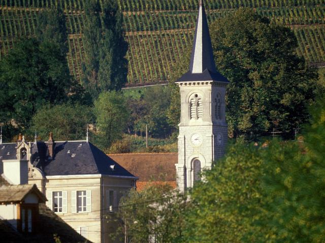 Eglise, vignoble dans le village d'Aloxe-Corton