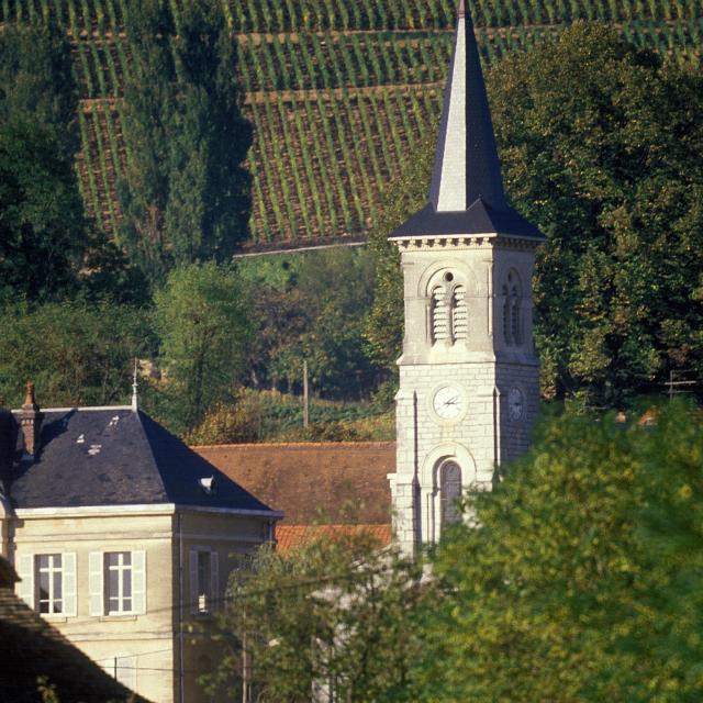 Eglise, vignoble dans le village d'Aloxe-Corton