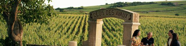 Aperitif Devant Les Vignes Clos Des Avaux Cote De Beaune Amis