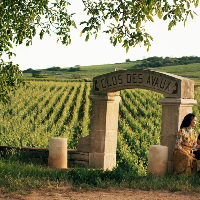 Aperitif Devant Les Vignes Clos Des Avaux Cote De Beaune Amis