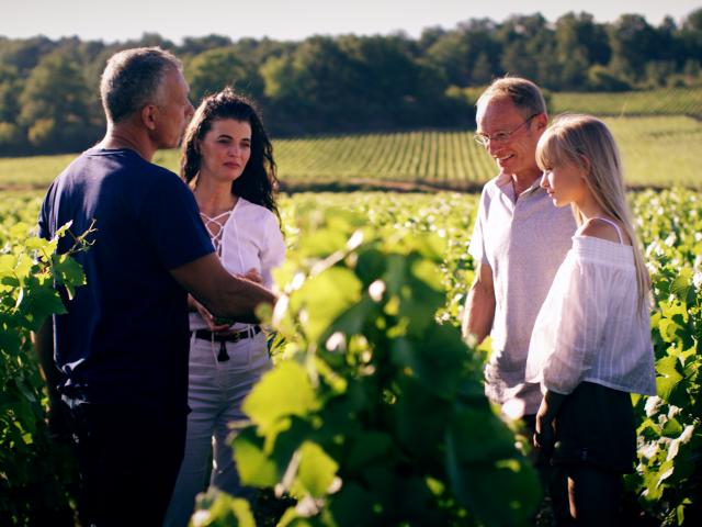 Balade Oenologie Vignes Meursault Vigneron