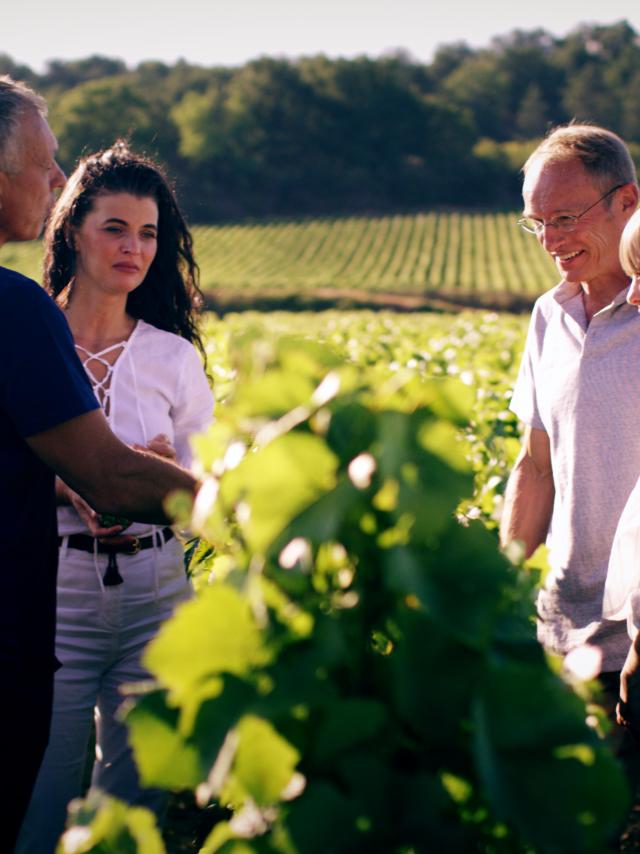 Balade Oenologie Vignes Meursault Vigneron