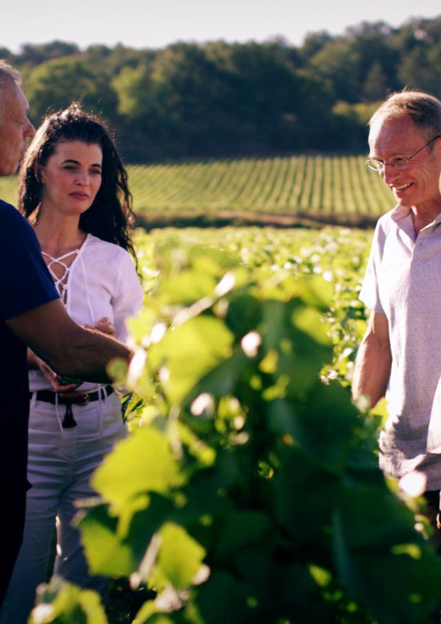 Vineyard tour Meursault Vigneron