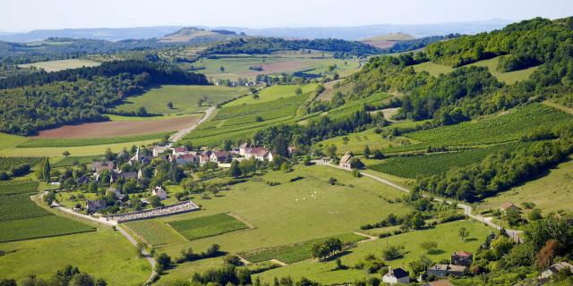 Bourgogne Vue Du Ciel Vineyards