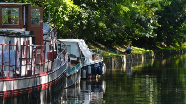 Canal Cruise