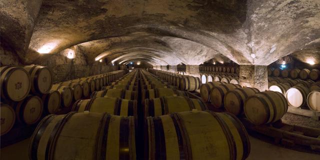 Caves et tonneaux à Meursault