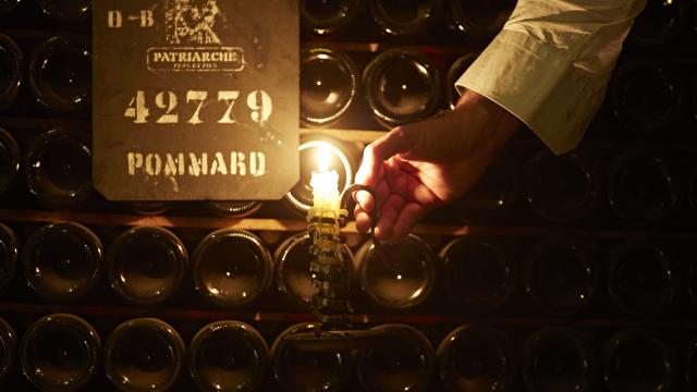 Bouteilles de Pommard bien rangées dans les caves Patriarche à Beaune