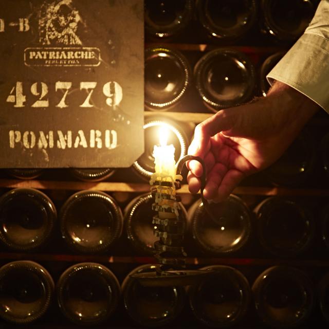 Bouteilles de Pommard bien rangées dans les caves Patriarche à Beaune