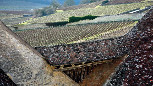 Chateau Clos Vougeot (1)