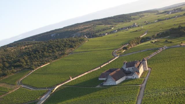 Chateau Clos Vougeot (10)