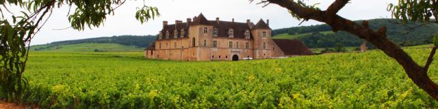 Chateau Clos Vougeot (7)