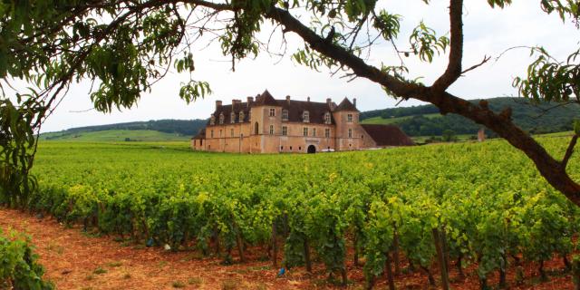 Château du Clos de Vougeot entouré de vignes au printemps