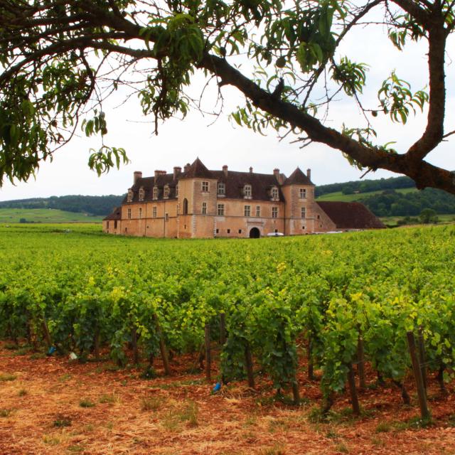 Chateau Clos Vougeot (7)