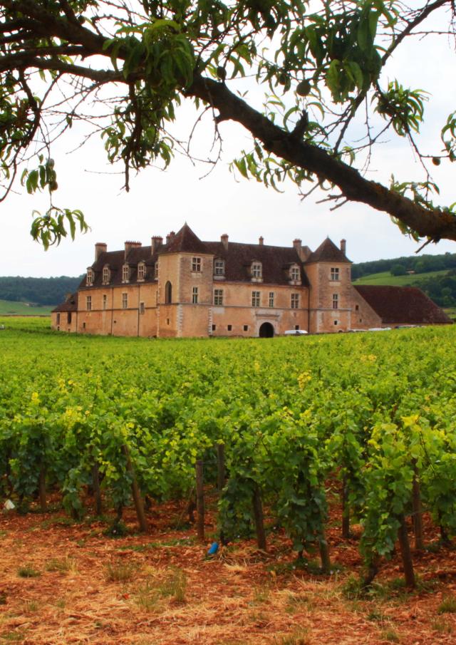 Chateau Clos Vougeot (7)