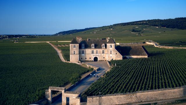 Chateau Clos Vougeot (8)