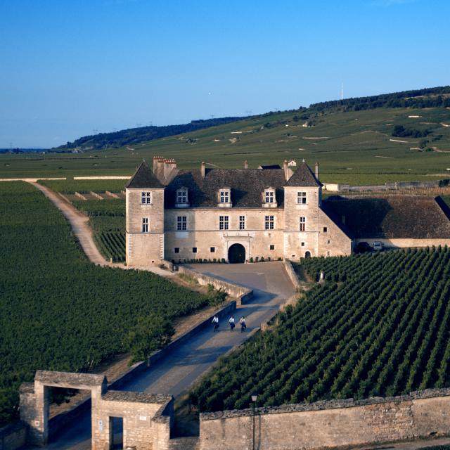 Chateau Clos Vougeot (8)