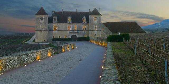 Chateau Clos Vougeot (9)