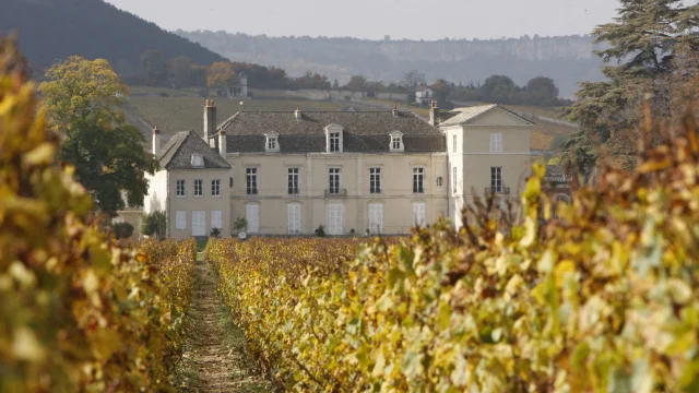 Chateau Meursault Automne