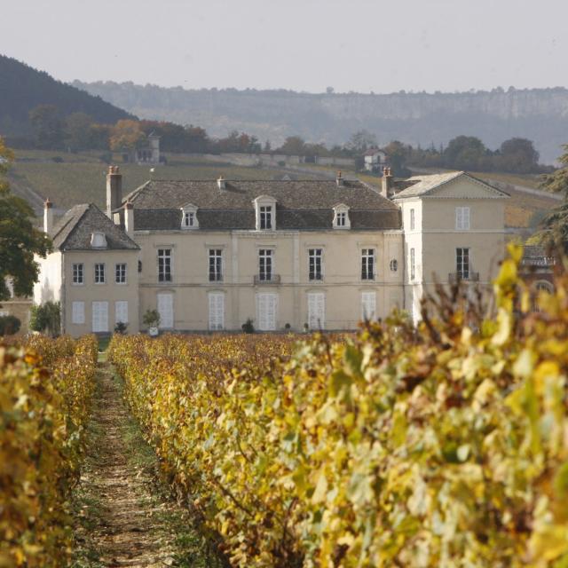 Chateau Meursault Automne