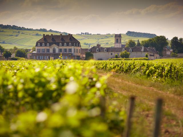 Château de Pommard et le Clos Marey au printemps