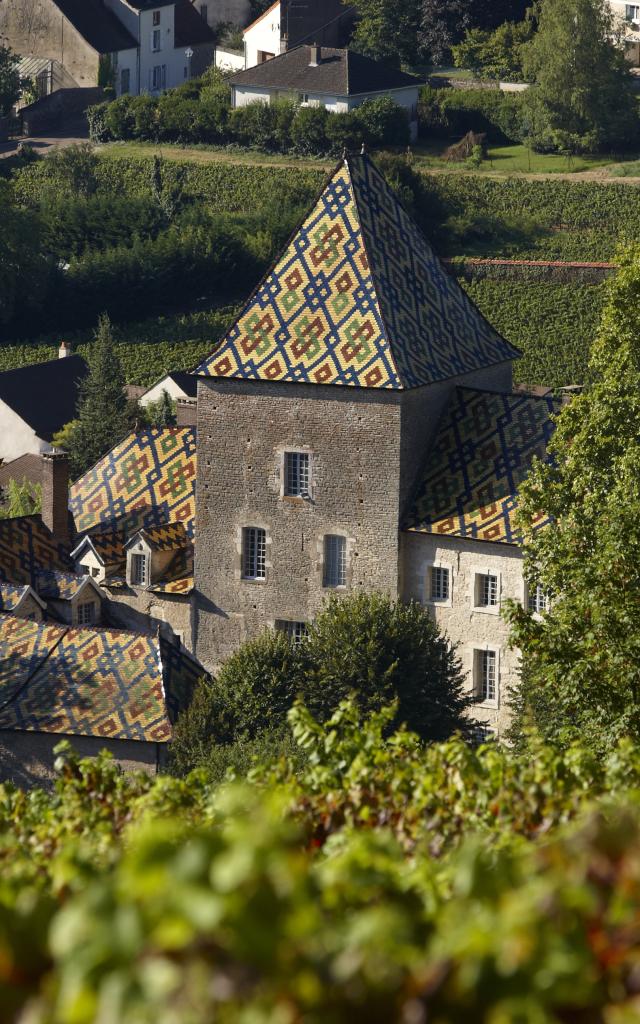 Château de Santenay - Philippe le Hardi