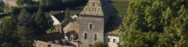 Château de Santenay - Philippe le Hardi