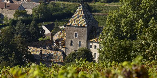 Château de Santenay - Philippe le Hardi