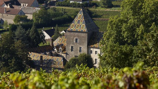 Château de Santenay - Philippe le Hardi