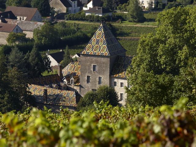 Château de Santenay - Philippe le Hardi