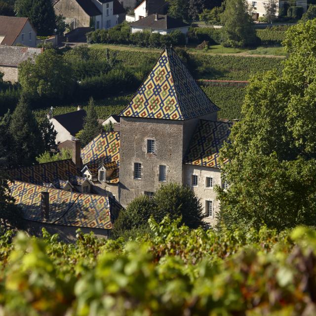 Chateau Santenay