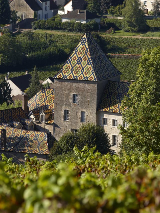 Chateau Santenay