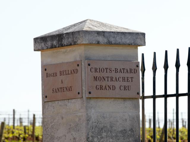 Entrée de clos Criots Batard Montrachet Grand Cru à Puligny Montrachet