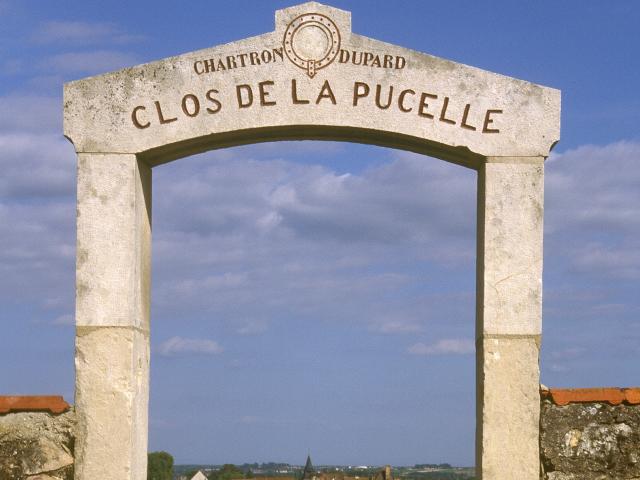 Clos Puligny Montrachet (4)