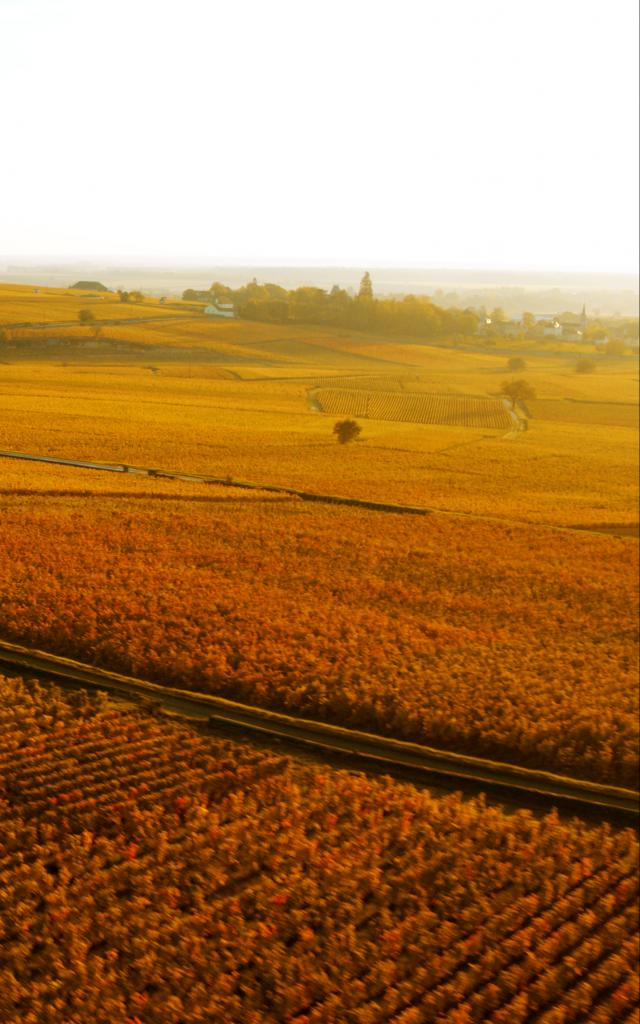 Corton hillside at sunset in autumn