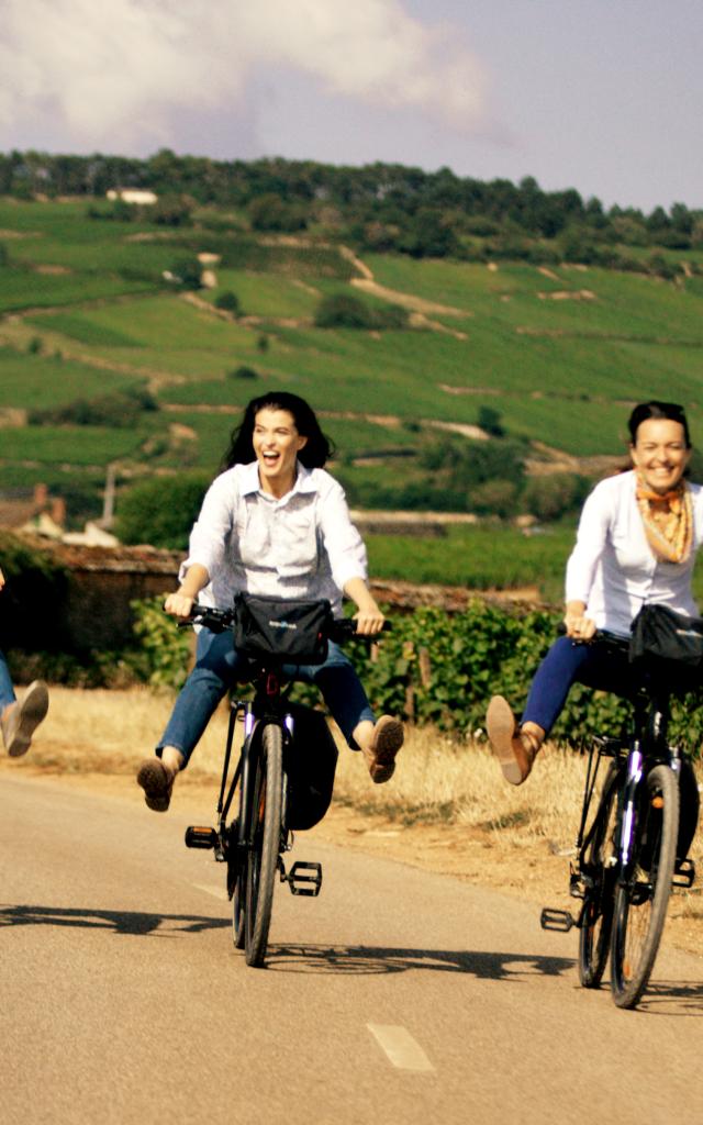 Colline Corton Velo Amis Voie Des Vignes