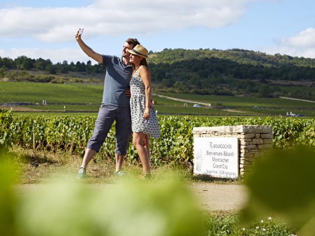 Couple Stroll Vineyard Cote De Beaune