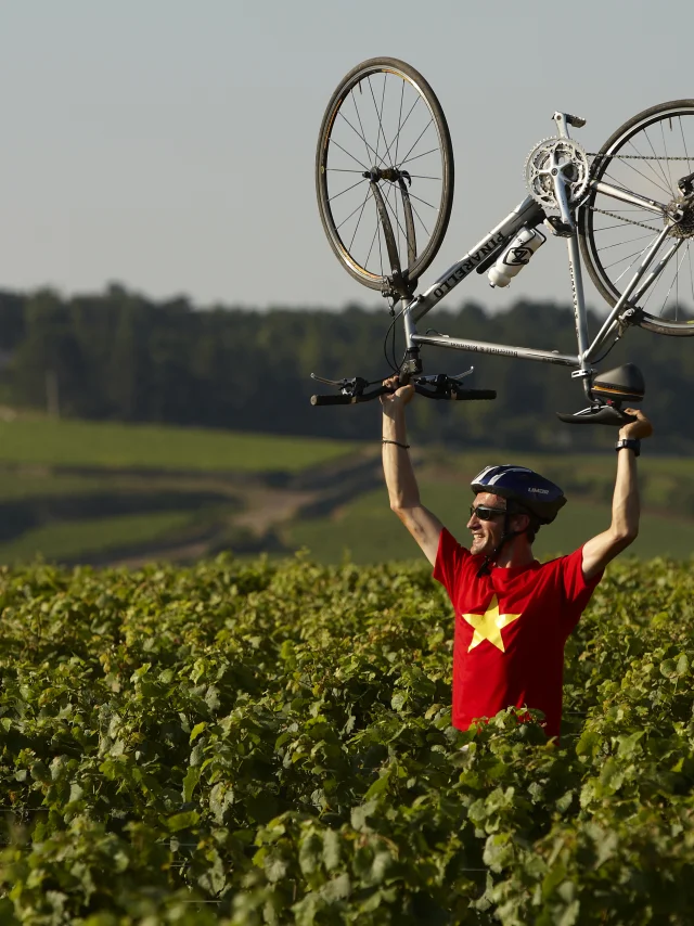 Cyclist Velo Vignes Burgundy