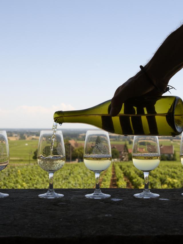 Dégustation d'un vin blanc dans les vignes qui lui ont donné naissance