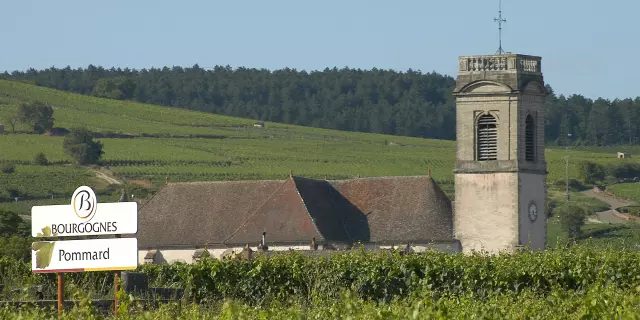 summer day in Burgundy