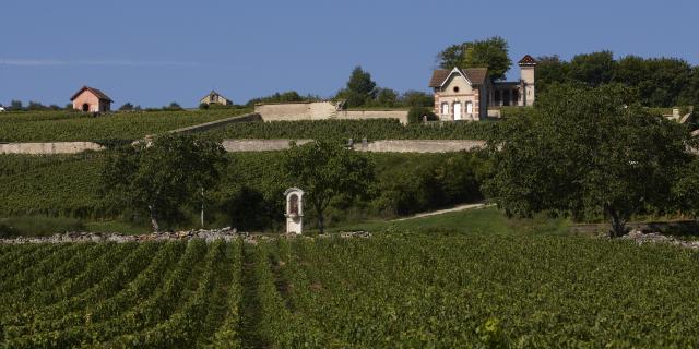 Maison Vigneronne Meursault