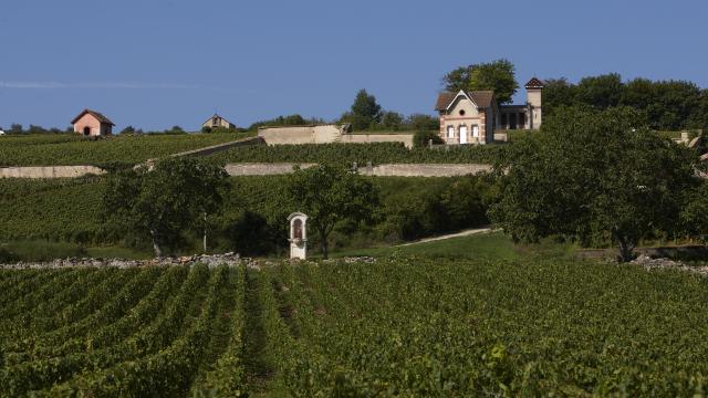 Maison Vigneronne Meursault