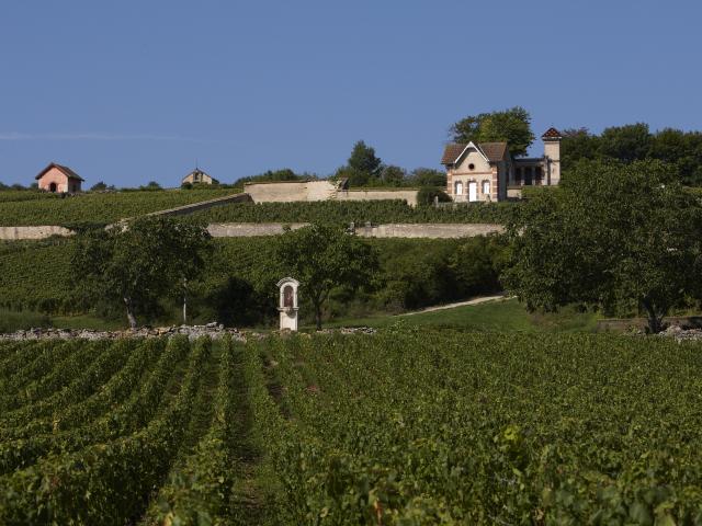 Maison Vigneronne Meursault